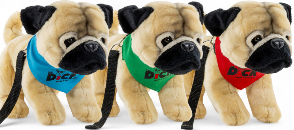 Pug with scarf