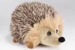 Igel grau