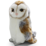 Owl, Barn-Owl