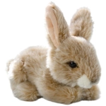 Rabbit, Bunny sitting beige