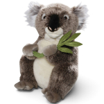Koala Bär mit Eukalyptus-Blatt