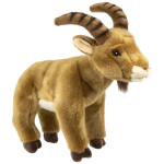 Steinbock, Ibex