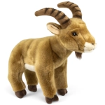 Ibex