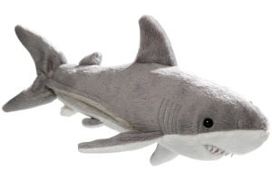 Shark Fish