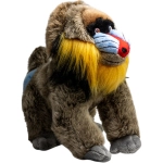 Mandrill Affe