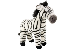 Zebra stehend