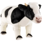 Cow standing black-white