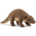 Pangolin