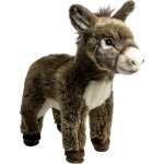 Donkey grey-brown standing