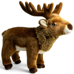 Deer, Stag standing