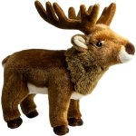 Deer, Stag standing