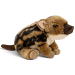 Wild Boar Baby sitting