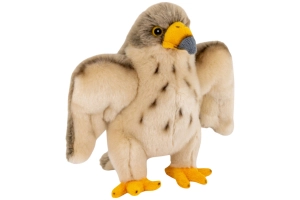 Falke