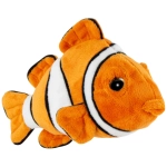 Clownfisch