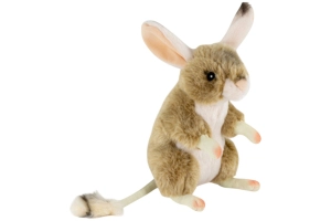 Desert Jerboa - Spring Mouse