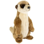 Erdmännchen
