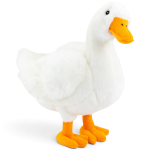 Gans