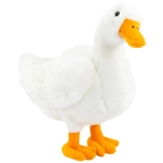 Gans