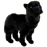 Alpaca standing black