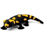 Fire Salamander