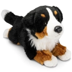 Bernese Mountain Dog lying