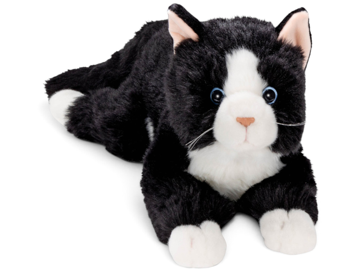 Katzen