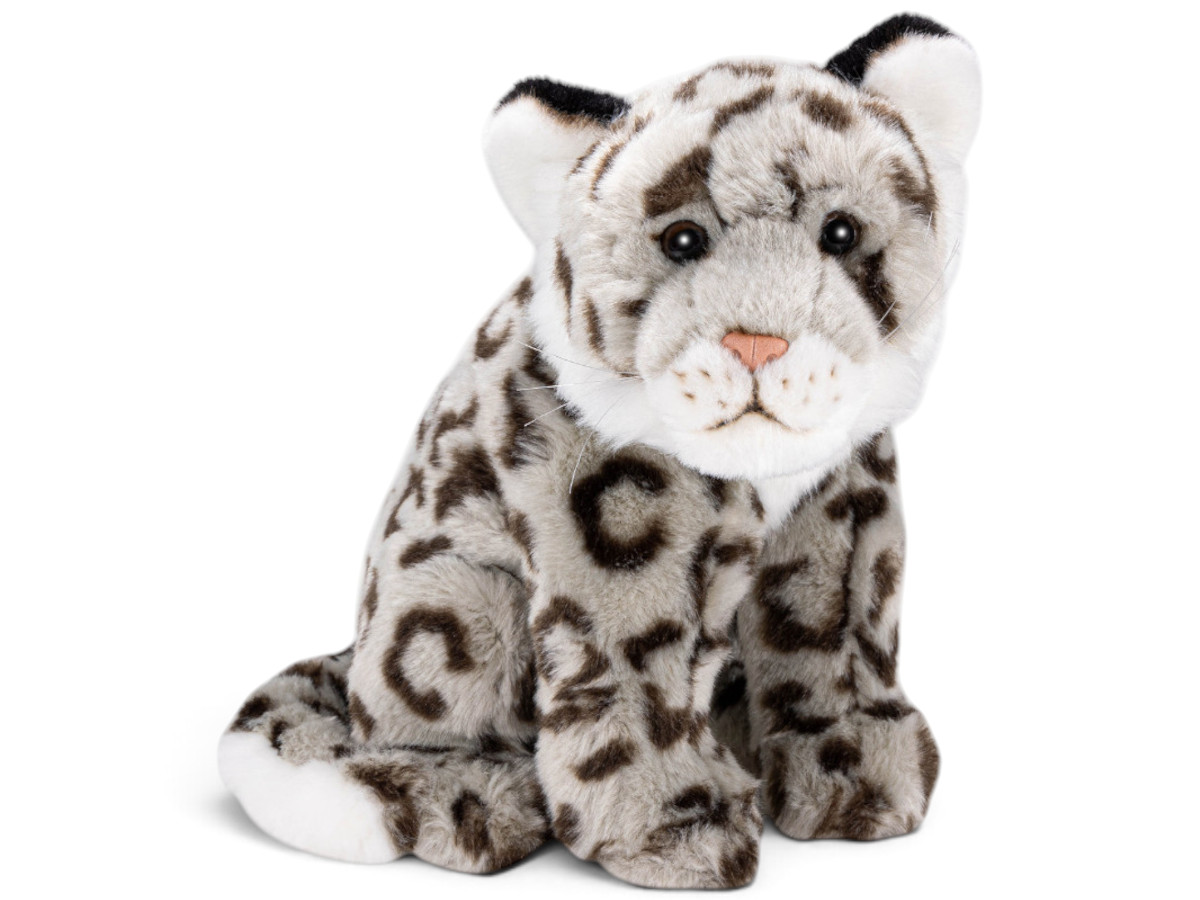 Safari & Zoo