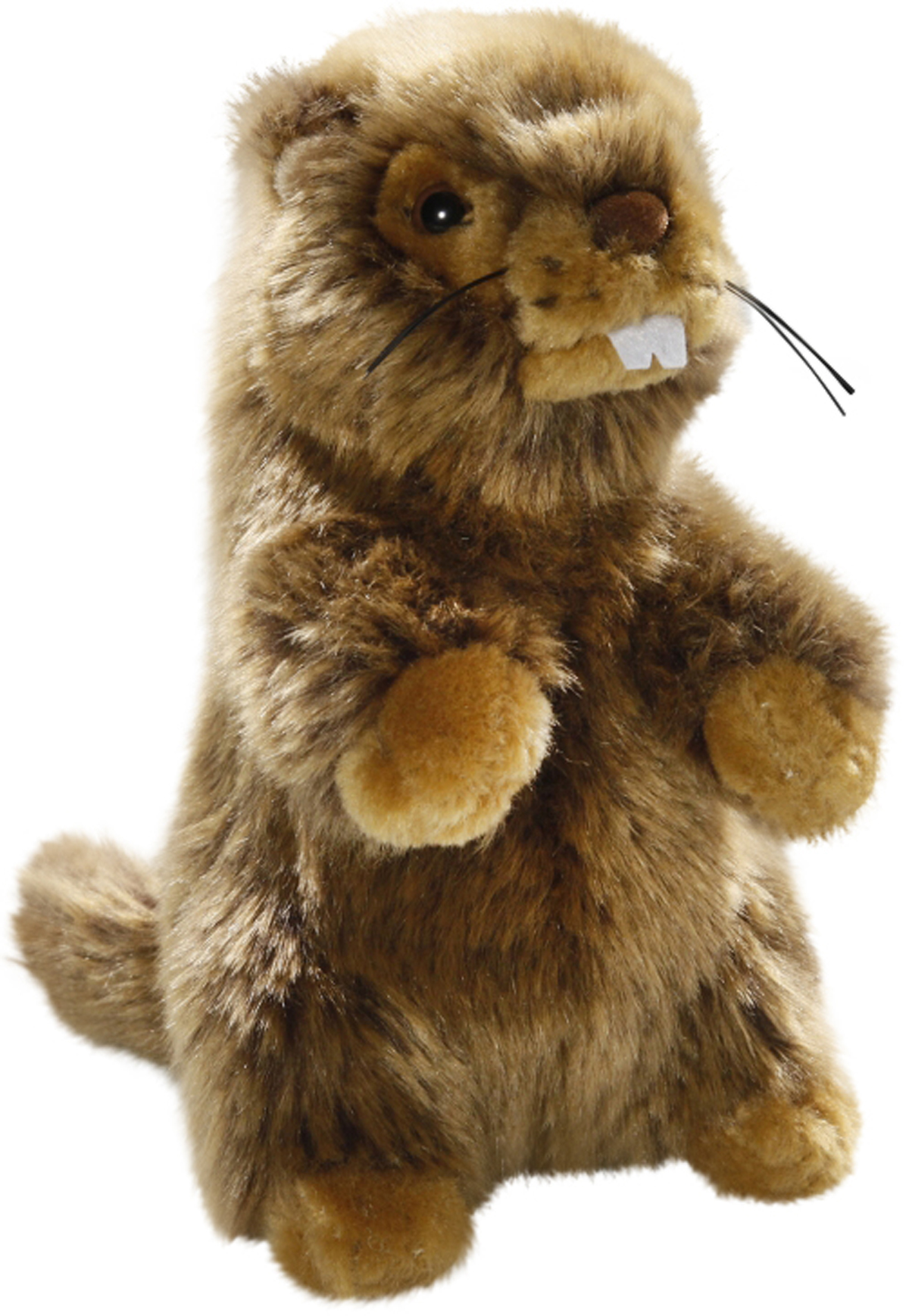 Marmot | Carl Dick GmbH